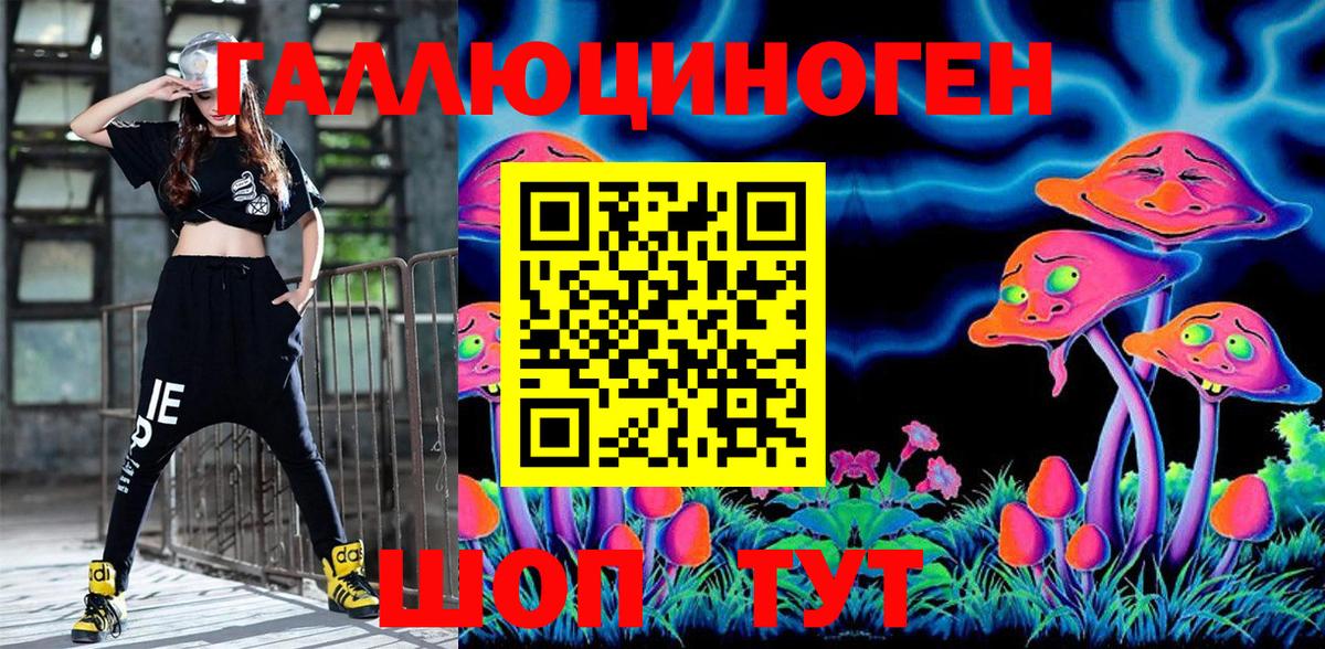 Галлюциногенные грибы Psilocybine cubensis  Вход с VPN  Ковров 