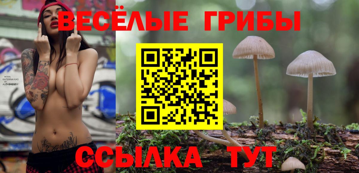Галлюциногенные грибы ЛСД Ковров